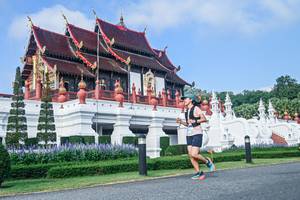 BIB: 
                            <button type="button" onclick="openModal(22459959)" class="btn btn-primary btn-sm float-right btn-popup" data-toggle="modal" data-target=".modal-high-quality">
                        <i class="fas fa-shopping-cart"></i> Add to Cart
                    </button>
                                            <button type="button" onclick="isThisMe(22459959, true)" class="btn btn-success btn-sm float-right btn-popup btn-isme hidden" data-toggle="tooltip" data-placement="bottom" title="นี่คือรูปของคุณใช่ไหม คลิกที่นี่เพื่อเอาเข้าอัลบั้ม">
                        <i class="fas fa-plus"></i> Add to album
                    </button>
                    <button type="button" onclick="isThisMe(22459959, false)" class="btn btn-warning btn-sm float-right btn-popup btn-isnotme hidden">
                        <i class="fas fa-ban"></i> Remove from album
                    </button>